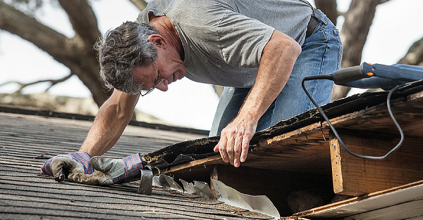 roof repair inspection