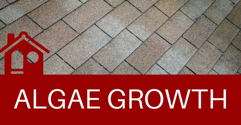 trusted kansas city roofers offer tips on algae growth on roofs