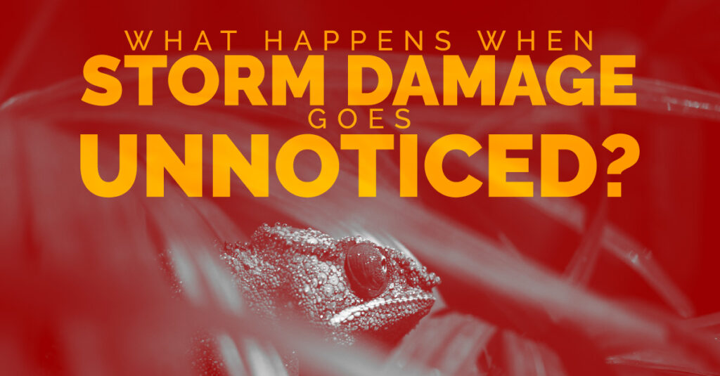 What Happens When Storm Damage Goes Unnoticed?