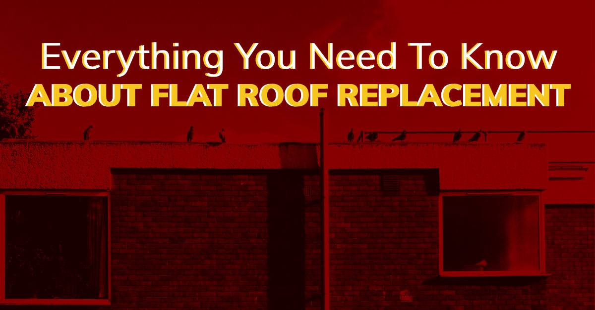 Everything You Need To Know About Flat Roof Replacement