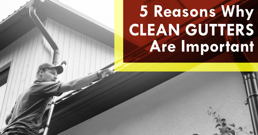 5 Reasons Why Clean Gutters Are Important