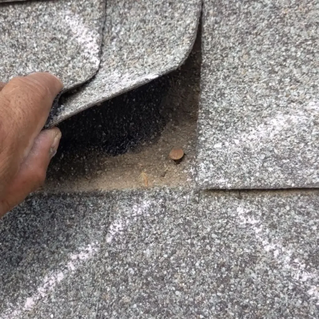 A nail pop on an asphalt shingle roof.