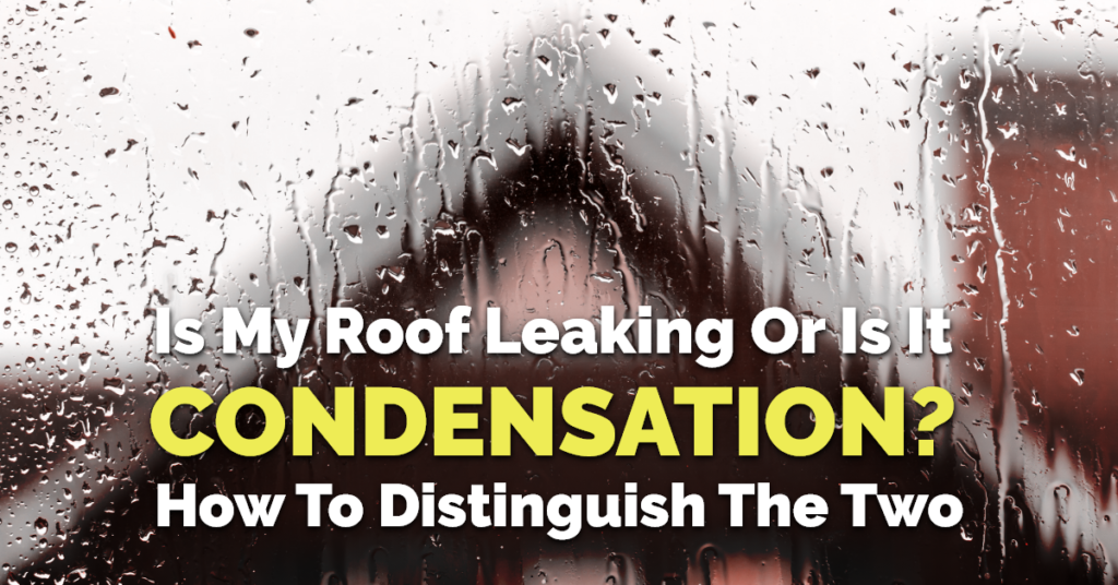 Is My Roof Leaking or is it Condensation? How to Distinguish the Two