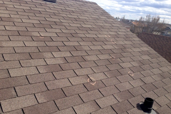 damage marked on asphalt roof shingles during an insurance inspection in Kansas City