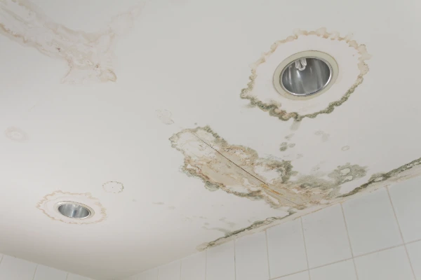 Water stains and mold damage on a ceiling surrounding recessed light fixtures from a roof leak